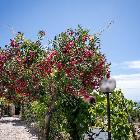 Casa Aniello Villa Caprioli Bagian luar foto